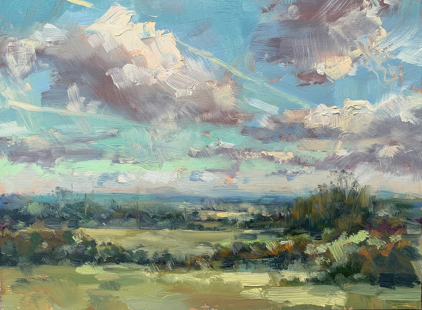 Landscape in soft light